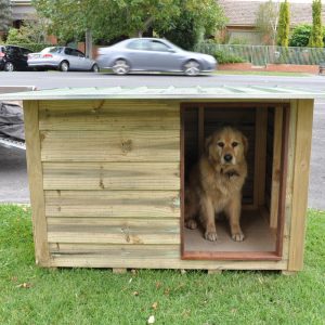 Pet Enclosures Melbourne - ShedCraft